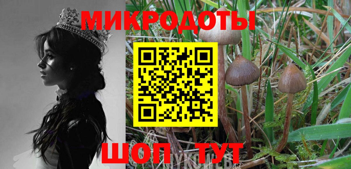 Псилоцибиновые грибы Magic Shrooms  Галлюциногенные грибы Cubensis  Вход с VPN  Губкинский 