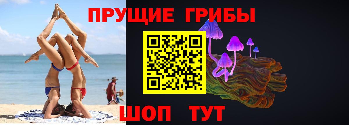 Псилоцибиновые грибы GOLDEN TEACHER Губкинский