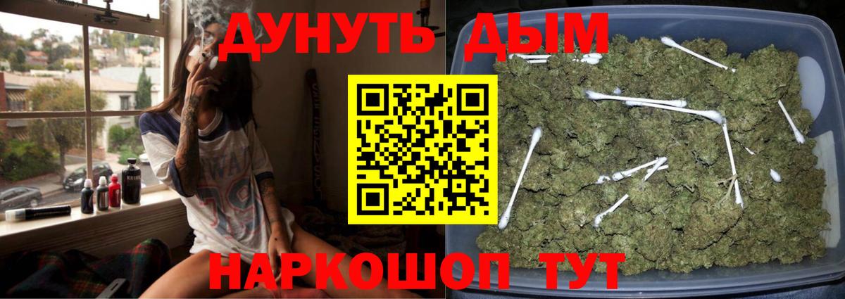 Конопля сатива Губкинский